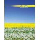 Книга обліку А4, 96арк, клітинка, обклад. тверда ламінована, ілюстрована, асорті, TM Buromax