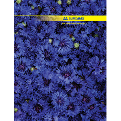 Книга обліку А4, 96арк, клітинка, обклад. тверда ламінована, ілюстрована, асорті, TM Buromax