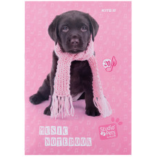 Зошит для нот, А4, 20арк, Studio Pets-1, TM Kite