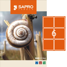 Етикетки клейкі, 6шт/А4, 99.2х93мм, 100арк/уп, TM SAPRO Labels