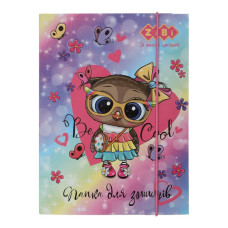 Папка для зошитів "OWL", картонна, на гумках В5+ , KIDS Line, TM ZiBi