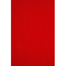 Обкладинка картонна, А4, 230г/м2, 100шт/уп, червона, Leather Design (Кантрі), ТМ BindMark