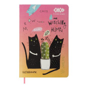 Щоденник шкільний CACTUS, В5, 48арк, тверд. обл., шт.шкіра/поролон, помаранчевий, TM ZiBi