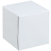 Серветки в коробці, 2х-шарові, 20х20см, 80шт, Куб, ТМ Parus